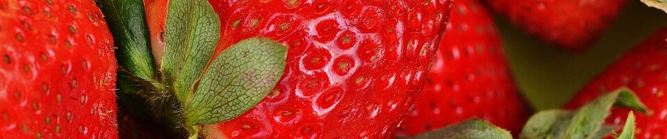 friske jordbær