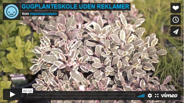 hvad er en planteskole